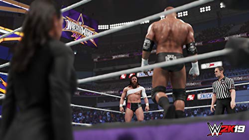 WWE 2K19 - (PS4) PlayStation 4 Video Games 2K Games   