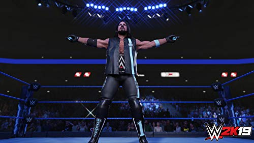 WWE 2K19 - (PS4) PlayStation 4 Video Games 2K Games   