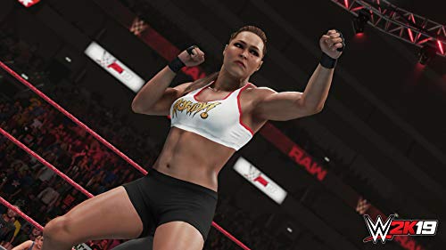 WWE 2K19 - (PS4) PlayStation 4 Video Games 2K Games   