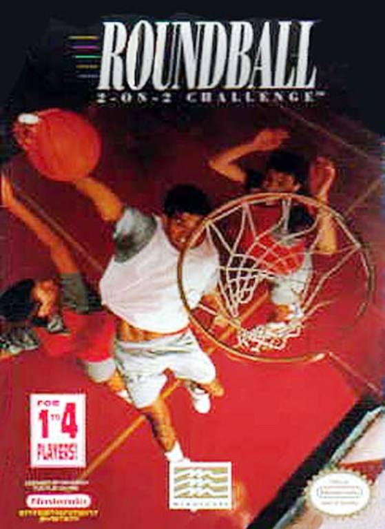 Roundball 2-on-2 Challenge - (NES) Nintendo Entertainment System [Pre-Owned] Video Games Mindscape