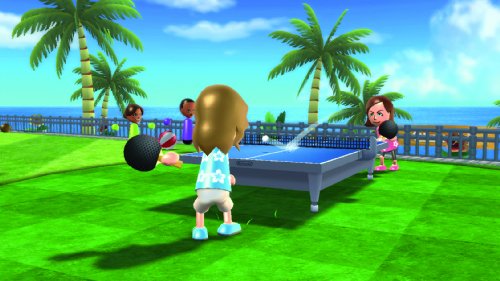 Wii Sports Resort - Nintendo Wii Video Games Nintendo   