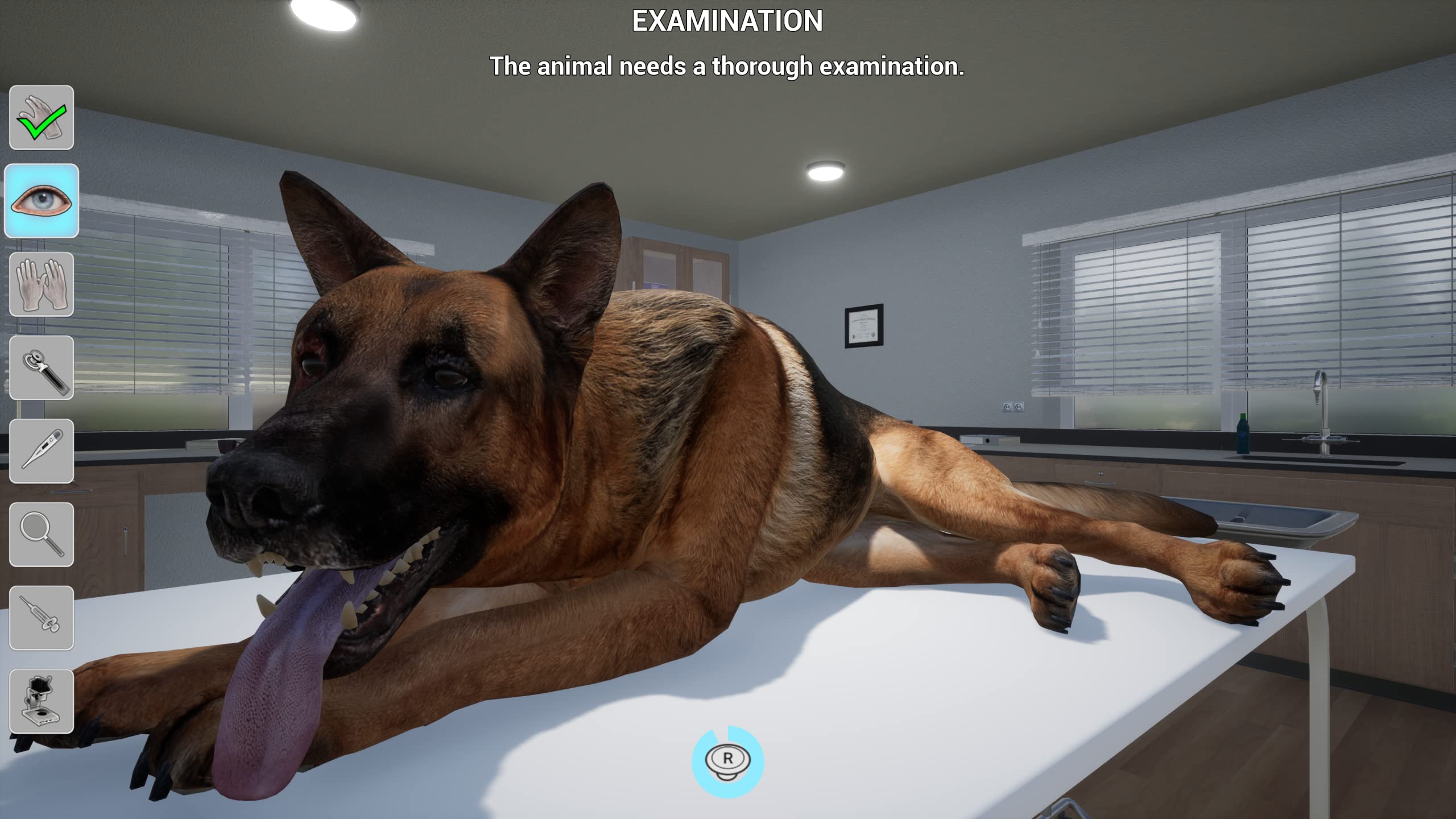 My Life: Pet Vet - (NSW) Nintendo Switch Video Games Mindscape   