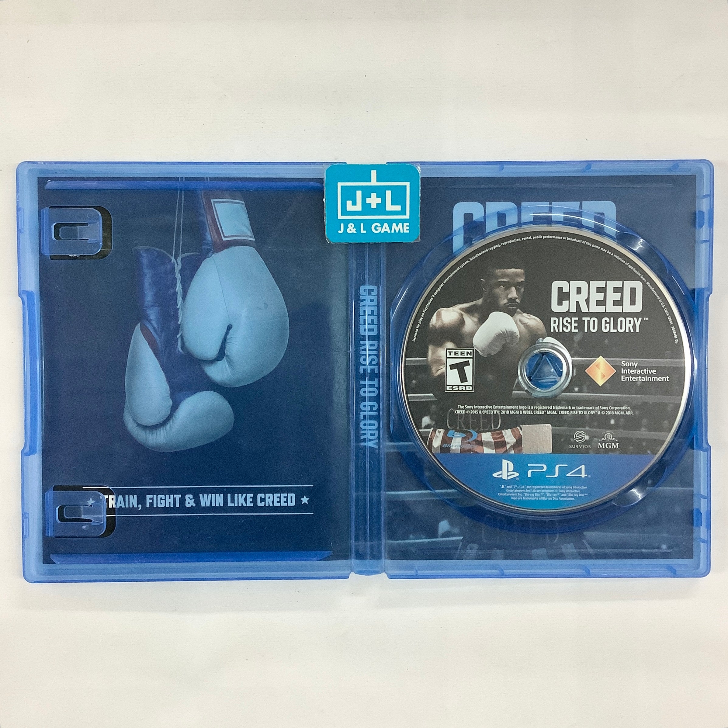 Creed: Rise to Glory (PlayStation VR) - (PS4) Playstation 4 [Pre-Owned] Video Games Sony Interactive Entertainment   