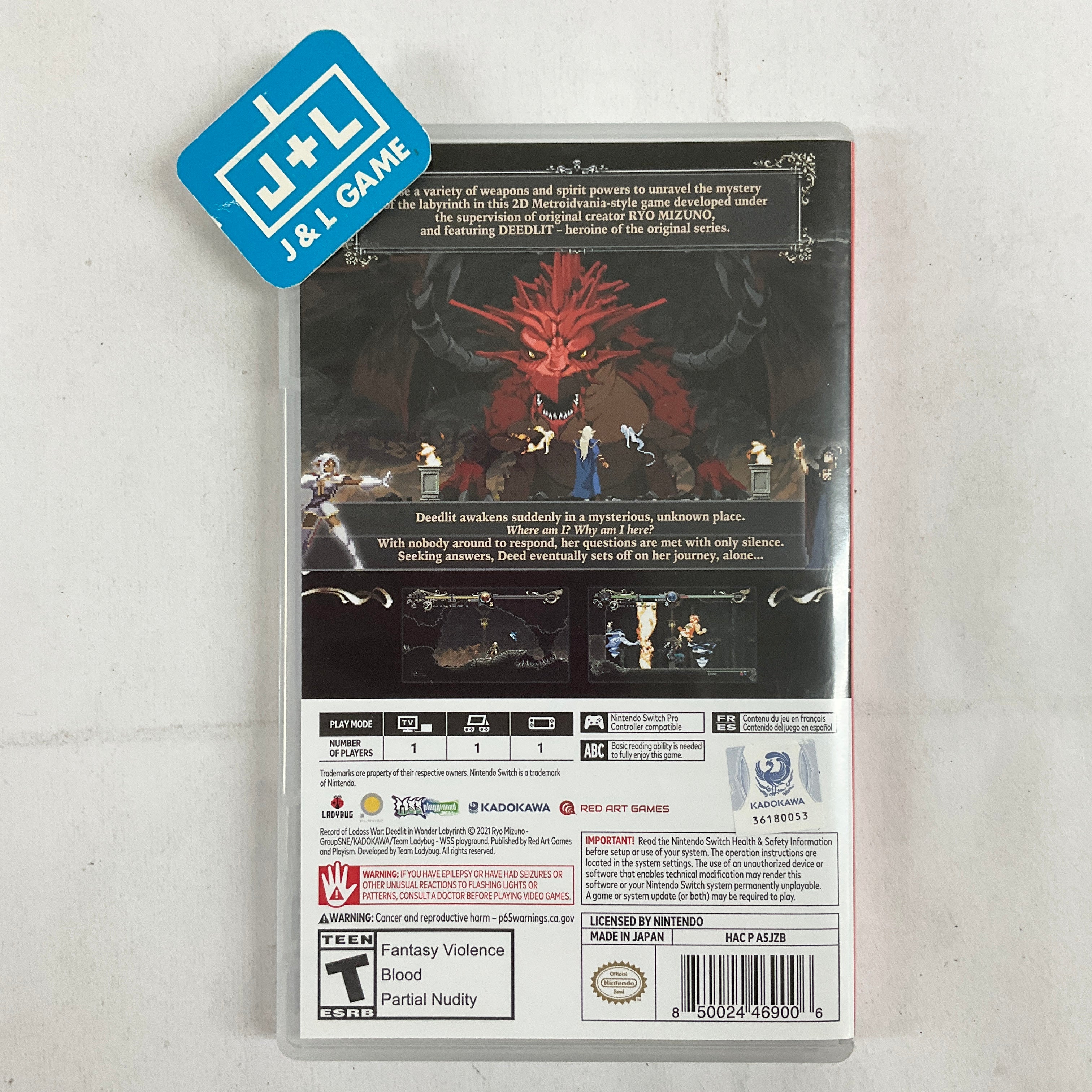 Record of Lodoss War: Deedlit in Wonder Labyrinth - (NSW) Nintendo Switch [Pre-Owned] Video Games Red Art Games   