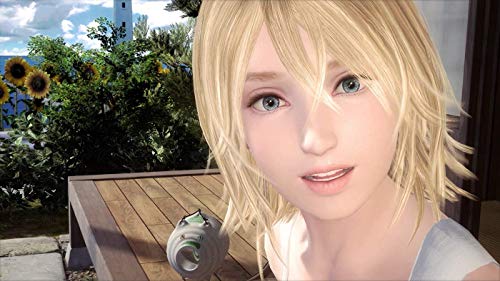 Summer Lesson: Allison Snow & Chisato Shinjo (PlayStation VR) - (PS4) PlayStation 4 (Asia Import) Video Games BANDAI NAMCO Entertainment   