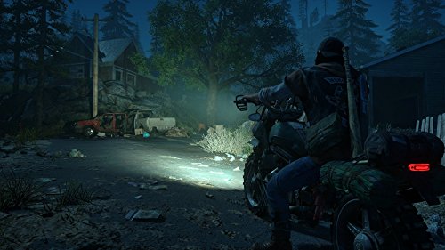 Days Gone Collector's Edition For Playstation 4 (NO cheapest DLC)