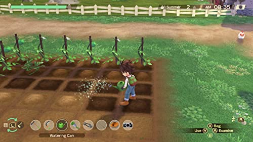 Story of Seasons: A Wonderful Life (Premium Edition) - (NSW) Nintendo Switch Video Games Xseed   