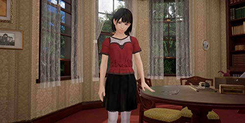 Summer Lesson: Allison Snow & Chisato Shinjo (PlayStation VR) - (PS4) PlayStation 4 (Asia Import) Video Games BANDAI NAMCO Entertainment   