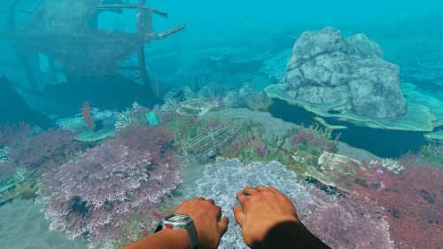 Stranded Deep - (NSW) Nintendo Switch Video Games Beam Team   