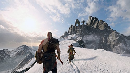 God of War (Collector's Edition) - (PS4) PlayStation 4 Video Games PlayStation   