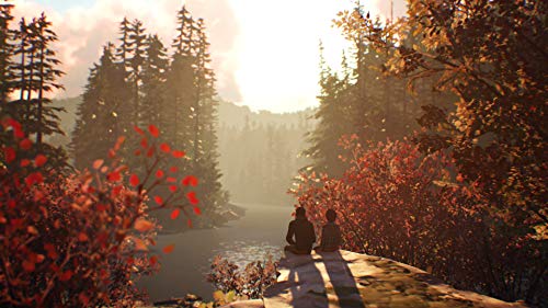 Life is Strange 2 - (XB1) Xbox One Video Games Square Enix   