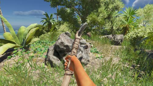 Stranded Deep - (NSW) Nintendo Switch Video Games Beam Team   