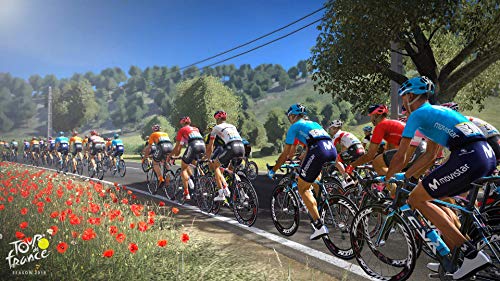 Tour De France: Sesaon 2019 - (XB1) Xbox One [Pre-Owned] Video Games Bigben Interactive   