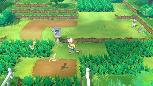 Pokemon Brilliant Diamond & let’s outlet go Eevee for Nintendo Switch