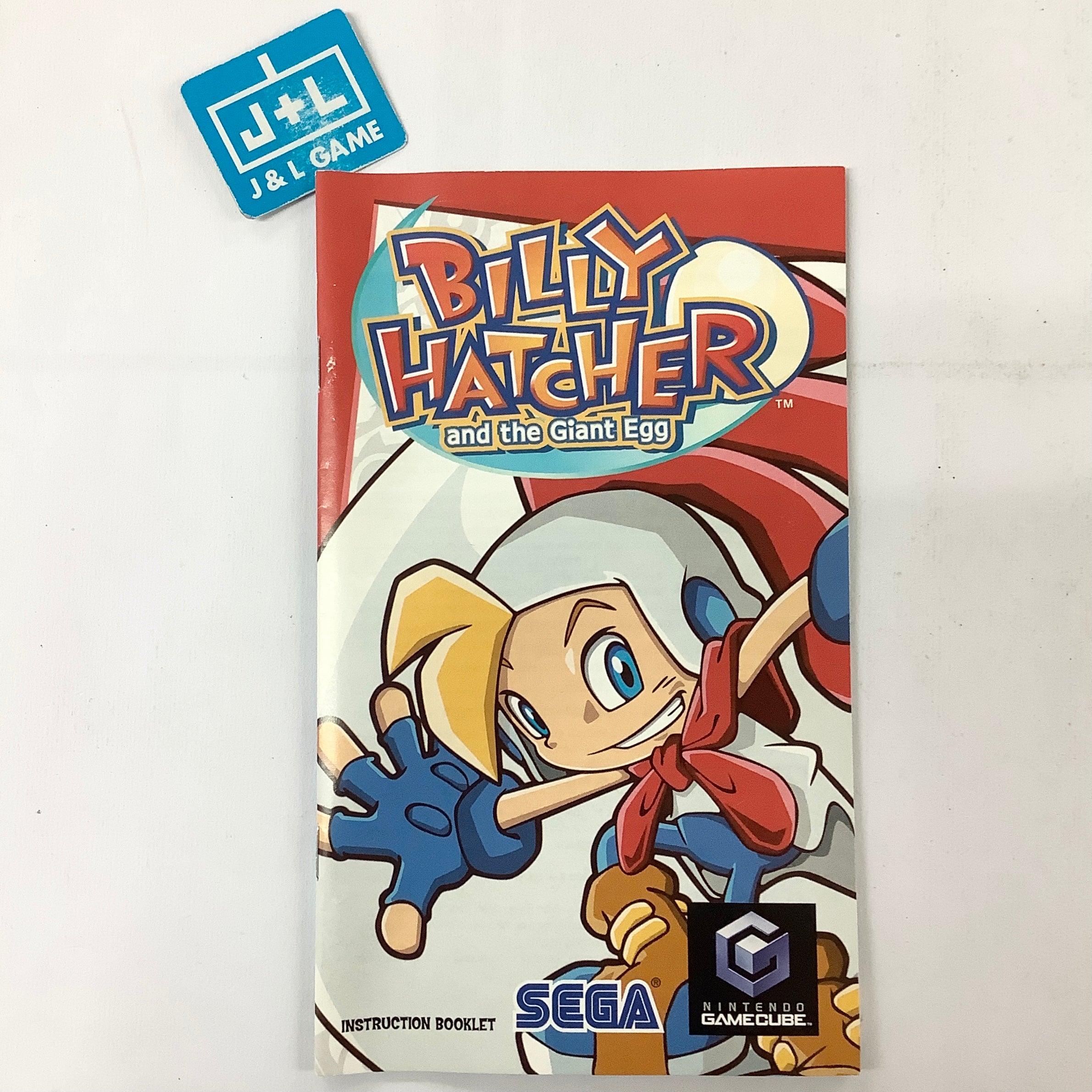 Billy Hatcher and discount the Giant Egg for Nintendo GameCube Complete